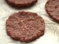 Plant-Based Nutrients vs Animal Based Nutrients In Food by EVOLVE! Campaigns
