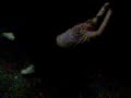 luki asesino 2 luki asesino 2