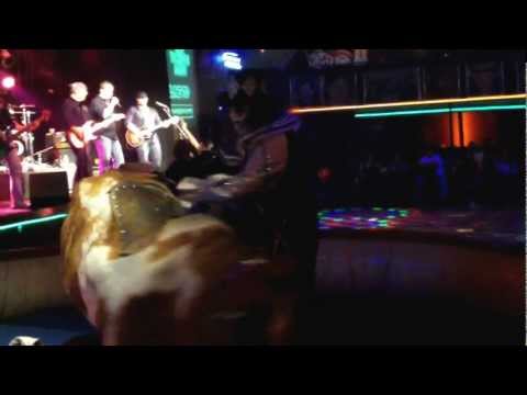 clownBull.MOV