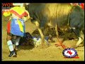 CLIP TOURO BANDIDO