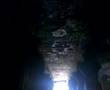 Bats inside cave