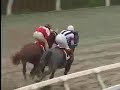 平成15年7月21日第8回上山競馬1日目　第9競走アラブ系2歳重賞　1300m（ワタリオーカン勝利、ブルーコマサ2着）