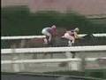 上山競馬 第31回若草賞