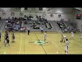 Wild Basketball Dunk Play