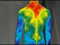 flir-thermal-infrared-camera-hot-kitten-tracks.html
