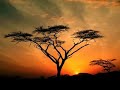 Ilya Soloviev - Sunwaves (Extended Mix) Ilya Soloviev - Sunwaves (Extended Mix)