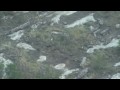 Guarda video