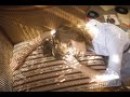 Iza Lach - Zanim Znikniesz