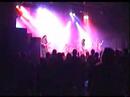polluted, live in antwerp