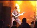 polluted, live in antwerp