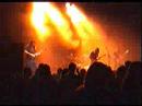 polluted, live in antwerp