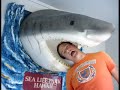 waikiki-beach-oahu-blue-robb-bry-hawaii-35-.html