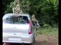 Long tails in a short video