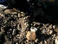 videos de Andrzej iryby 2