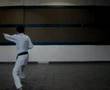 Shoto Kata daini