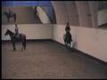 Hästhoppning - OMEGA -