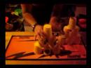 Megold�s - Flashcup