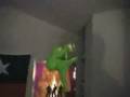 The Great Snake Modor