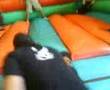 Simran & Suneil vs Jeevan Vikram & Rajan
