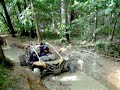 buggy n1