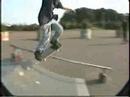 WPO Blasi and Rainer s Part
