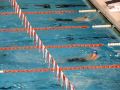 Aaron Peirsol and David Cromwell - 100 Back at Encore Meet