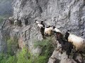 china garganta del salto del tigre