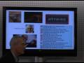 Davos 2009 - Manfred F. R. Kets de Vries