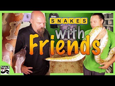 YouTube reptile video
