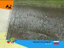 Zoos\\???\\Jardines zoológicos\\????????\\Zoo\\????????? Zoos\\???\\Jardines zoológicos\\????????\\Zoo\\?????????