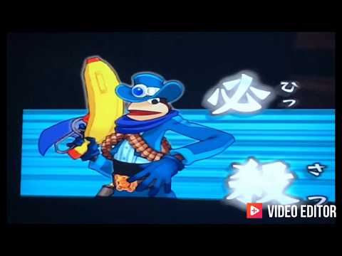 動画