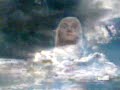 Virgen de Amaluza