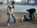 videos de Carbit in almelo