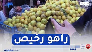 تراجع أسعار الحمضيات ..  ربات البيوت تغتنمن الفرصة للتحضير لرمضان