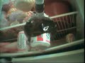 Beer Run