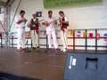 videos de Shkolla Shqipe 