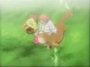 new-life.html