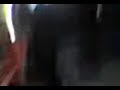 la borrachera