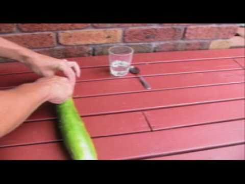 how to harvest seeds from a cucumber