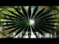 Eastern dark-Eikhoise sa ngara