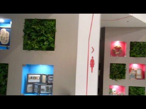 Japanese Toilet Art!