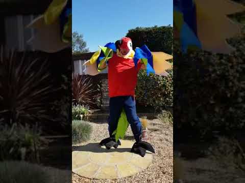 Clive - Squarking Mad!