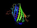 Biomedical Research