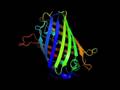 Biomedical Research
