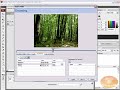 importexport-flash-video-flv-and-compression-flash-tutorial.html