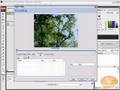 Import/Export Flash Video FLV and Compression Flash Tutorial
