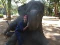 Amy and Jo Jo, Thai Elephant Conservation Center, November 2009