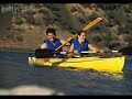 Azul y Gerbera - Los Barcos