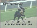 [調教] 080903 ダイワエンパイア 「BSN賞」前追い切り