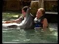 Dolphin Quest